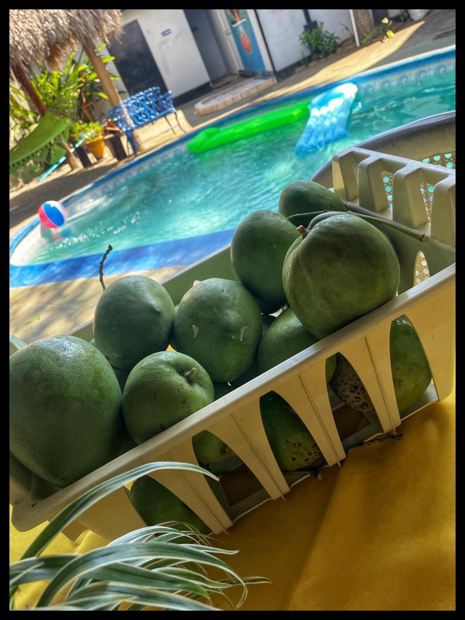 Managua Hotel Oasis Ngoại thất bức ảnh
